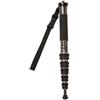 Gitzo GM2562T Traveler Serie 2 Monopiede, Grigio