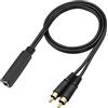 QIANRENON TRS 1/4 femmina a doppio RCA maschio, cavo splitter stereo da 6,35 mm femmina a 2 RCA mono Y Splitter cavo di prolunga audio, per mixer amplificatore KTV apparecchiature audio, 1 m