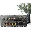 Woalopted Scheda Amplificatore Audio,Display Stereo Senza Fili Con Slot Per Schede USB - Amplificatore Audio Auto - Per Uomo Donna Altoparlanti Casa Auto Karaoke Viaggio Raduno Amici Attività