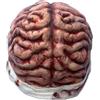 Generico Cappello Brain - Da Festa Pazzo, Copricapo Commedia | Accessorio In Costume Di Novità 3D Per Adulti, Arte Proposito ' Realistico, Cappa Esibizione, Del Festival Eccentrico Feste