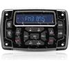 Geloo Barca Marine Stereo Impermeabile Lettore MP3 AM/FM Radio Nautica per barca, Stereo Media Ricevitore Yacht Funzione di Chiamata in Vivavoce per Barche, Yacht Marine