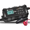 ECO-WORTHY Caricabatteria da 10 A, 12 V, con attivazione della batteria al litio per auto, camion, moto, tosaerba, barca, batterie marine
