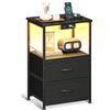 Coleshome Comodino Camera da Letto Nero, con 2 Prese USB e 1 Presa di Corrente e Luci a LED, Comodini con 2 Cassetti in Tessuto e 1 Vano Portaoggetti, 40 * 30 * 60cm, Confezione da 1, Nero