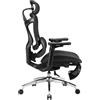SIHOO Sedia da ufficio ergonomica supporto lombare dinamico, braccioli 3D schienale regolabile, poggiapiedi per un comfort ottimale, sedia scrivania domestico, Doro C300,2 Pacchi, Nero(150kg)