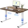 FLEXISPOT Scrivania Regolabile in Altezza Elettrica 120×80 cm con Doppio Motore, Piano Unico da 25 mm, Gambe Telescopiche a 3 Sezioni EC5 LITE