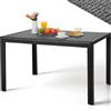 LIFERUN Tavolo da Giardino Rettangolare 4-6 Persone in PE Rattan, 119x74 cm