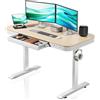 Wiltec Scrivania motorizzata regolabile in altezza con stazione di ricarica e motore singolo, Standing desk