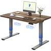 FLEXISPOT Scrivania Regolabile in Altezza Elettrica 120×80 cm con Doppio Motore, Piano Unico da 25 mm, Gambe Telescopiche a 3 Sezioni EC5 LITE