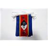 AZ FLAG Ghirlanda 6 Metri 20 Bandiere Swaziland 21x15cm, Bandiera Swazilandese 15 x 21 cm - Festone Bandierine