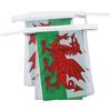 AZ FLAG Ghirlanda 6 Metri 20 Bandiere Galles 21x15cm, Bandiera Gallese 15 x 21 cm - Festone Bandierine