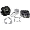 Dr. Hessel's KT00087 GRUPPO TERMICO DR 70CC D.47 MalagutiF15 Firefox Euro 2 50 2T 05 06