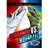 Torque Barracuda Vs. Moray Eel