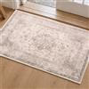Tuocal Zerbino per interni ed esterni, 60 x 90 cm, assorbente, resistente, antiscivolo, a basso profilo, per esterni, lavabile, facile da pulire, per ingresso, patio, animali domestici