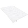 IRISETTE Badenia Bettcomfort Irisette Micro Thermo 03632160140 Piumone leggero 135x200 cm colore: Bianco