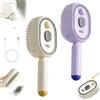 Generico 2026 Nuova spazzola a vapore elettrica, spazzola for lisciare i capelli ricaricabile con pettine districante, cuscino d'aria for capelli lunghi/corti Pulizia spa domestica Toelettatura Styling(C-2Pcs)