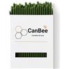 CanBee Candele di cera 40 Candele Sottili Verdi in Cera d'Api Naturale 21 cm x 6,5 mm - Lunga Durata, Combustione Pulita Senza Fumo - Ideali per Rituali, Meditazione e Yoga - CanBee