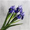 huaao 3PCS Fiori di Iris Artificiali Finti in Lattice, Steli Lunghi, Decorazione per Bouquet da Sposa Matrimoni Fai da Te, Composizioni Floreali Bouquet di Nozze Casa Feste Tavolo, Viola