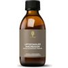 ZELLGUT MAGNEZIO LIPOSOMALES - Elevata biodisponibilità grazie ai liposomi - aroma naturale di mango - senza conservanti sintetici