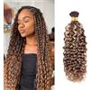 DaiMer Water Wave Bulk Human Braiding hair for Boho Braids 2 Bundles/Pack 100g No Weft 10A Brazilian Water Wave Bulk Highlight Brown Human Hair Extensions for Braids (4/27 Highlight Color, 26Inch)