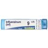 Boiron Influenzinum 9CH Granuli Tubo