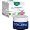 ESI Bio Collagenix Crema Anti-età Viso e Collo 50 ml