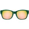 Chicco Occhiali da Sole 12m+ Verde con Animaletti e con Lenti a Specchio