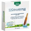 ESI Biocollagenix 15 Ampolle Anti-Età Collagene Acido Ialuronico Effetto Lifting