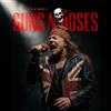 Guns N' Roses The Rock N' Roots of Guns N' Roses (Vinyl LP)
