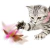 Lyricalist Funny Cat Stick - Retractable Cat Feather Toys With Collar, Cat Stick Toy, Cat Feather Wand, Easy To Use Interactive Pet Toy For Indoor Cats To Play Exercise