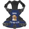 WINKEEY Pettorina per cani Personalizzata, Pettorina per cani Taglia Piccola, Media e Grande, ad h, Personalizzabile con nome e numero di telefono, Riflettente