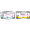 CT-TRONICS Disugual Dieta Gatto Ipoallergenico | Bisogni Nutrizionali Speciali | Vari Sapori e Miscele | (12x85Gr, 6X Trota 6X Oca)