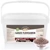 GOLDEN PEANUT Semi di psillio indiani purezza del 99% - per cavalli e pony 3 kg, riabilitazione dell'intestino, nutrire naturalmente