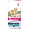 Eukanuba Adult Breed Specific Labrador Retriever - Set %: 2 x 12 kg