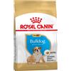 Royal Canin Breed Multipack Risparmio! 2 x Royal Canin Breed Crocchette per cane - 2 x 12 kg Bulldog Puppy