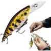Generico Esche da nuoto, esche da pesca 'esca da nuoto | Esche da animate 3D | Cavani di pesce di bassi, kit di attrezzatura per pesce d'acqua salata, attrezzatura per pesca al mare per bass trota zander