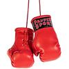 Paffen Sport «Colour» Mini guantoni da boxe, ciondolo per auto, rosso