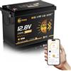 Li Think Batteria Litio LiFePO4 12V 314Ah Mini Pro con Bluetooth, Certificata ECE R10, BMS Integrato da 300A, Protezione a Bassa Temperatura, Perfetta per RV, Impianti Solari, Barche, Motori Trolling