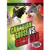 Torque Canada Goose Vs. Gray Fox
