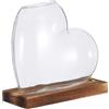 SHINEOFI Vaso in Vetro Trasparente a Forma di Cuore con Base in Legno per Coltivazione di Piante in Acqua, Elegante Terrario Decorativo per Casa e Scrivania, Osserva le Radici Facilmente