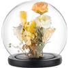 PH PandaHall 15 cm vetro display cupola campana in vetro con base in legno nero bicchieri decorativi cloche per la conservazione dei fiori, casa, Natale, feste, decorazione preferita
