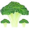 SOLUSTRE Broccoli Artificiale Decorazione Modello 3 Pezzi Plastica Realistica Verdura Vetrina Accessori di Scena Giocattolo Educativo Per Bambini Casa E Negozio