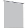 AMZYU Tenda a Rullo 100 x 280 cm Oscurante Protezione Solare Tenda a Rullo Termica Oscurante Montaggio Facile e Veloce per Finestra e Camera, Grigio Chiaro