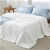 Bedsure Piumone estivo rinfrescante reversibile 224x224 - Piumone rinfrescante Arc-Chill Q-Max > 0,4, Coperta estiva leggera e sottile per sudorazioni notturne e dormienti caldi