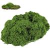 SUHAI Muschio artificiale decorativo verde scuro, piante di licheni artificiali, finto muschio, decorazione per casa, giardino, paesaggistica, floristica, modellismo, arti e mestieri (50 g)