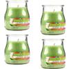 Etrexonline Set 4 Candele Profumate Sorbetto all'Anguria in Vetro 7x6cm, Candele Profumate 24 Ore di Combustione