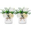 BLOSMON Fiori Finti Decorazioni con Vaso 2 Pcs Bianchi Fiori Artificiali Piccoli Rosa con Vasi per Centrotavola Piante Finte da Interno Bouquet Fiore Soprammobili per Casa, Cucina, Festa Addobbi