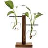 Qanye Vaso Decorativo in Legno con Supporto, Vaso a Bulbo con Supporto, Terrario per Piante in Vetro con Supporto in Legno, per la Decorazione della Camera da Letto, del Soggiorno e Dell'ufficio