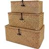 IHONYI Set di 3 cestini in vimini con coperchi, scatola portaoggetti rettangolare in rattan naturale, organizer per biancheria da letto, soggiorno, casa