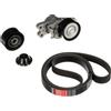 GATES Kit Cinghie Poly-V K036PK1565 Gomma Compatibilità con FIAT FIORINO Cassone/Furgonato/Promiscuo 225 QUBO 225 Fiorino MPV 225, PEUGEOT 206 2 volumi/Coda spiovente 2A/C 206+ Hatchback 2L, 2M