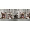 BIANCHERIAWEB Tappeto Passatoia Cucina Antiscivolo con Stampa Digitale Dis. Bulldog 497 50x180 Bulldog